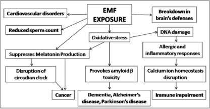 EMF Exposure chart - Dave Asprey Box