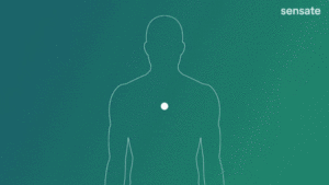 Animation of the vagus nerve by Sensate